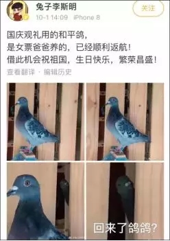 6404.webp.jpg